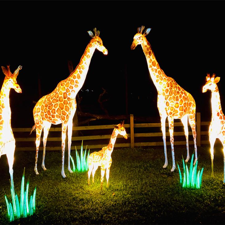 Vivid Giraffe Silk Lantern